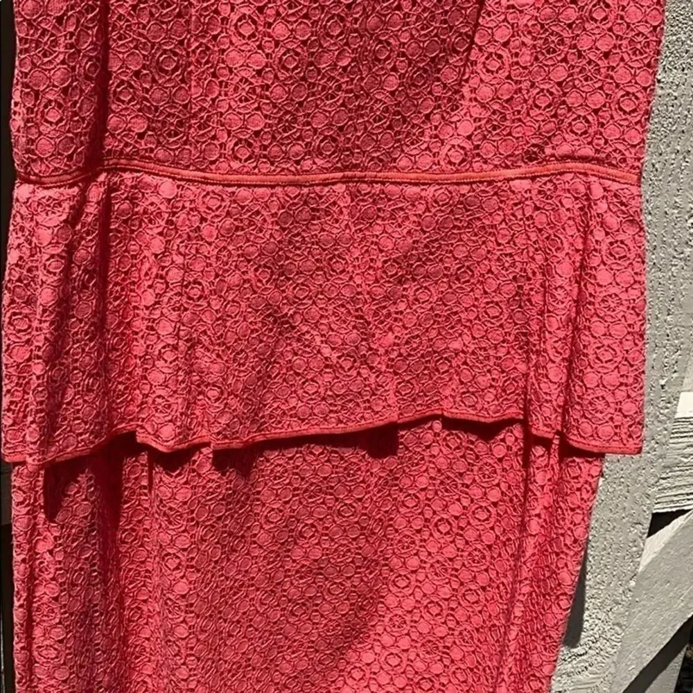 Max Studio Coral Embroider Dress Size 12